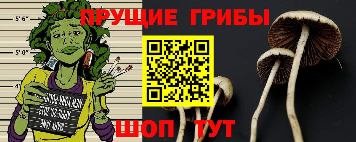 Галлюциногенные грибы Psilocybe  Псилоцибиновые грибы GOLDEN TEACHER  Шарыпово  Вход с VPN 