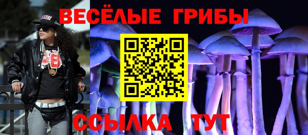 Галлюциногенные грибы GOLDEN TEACHER Шарыпово